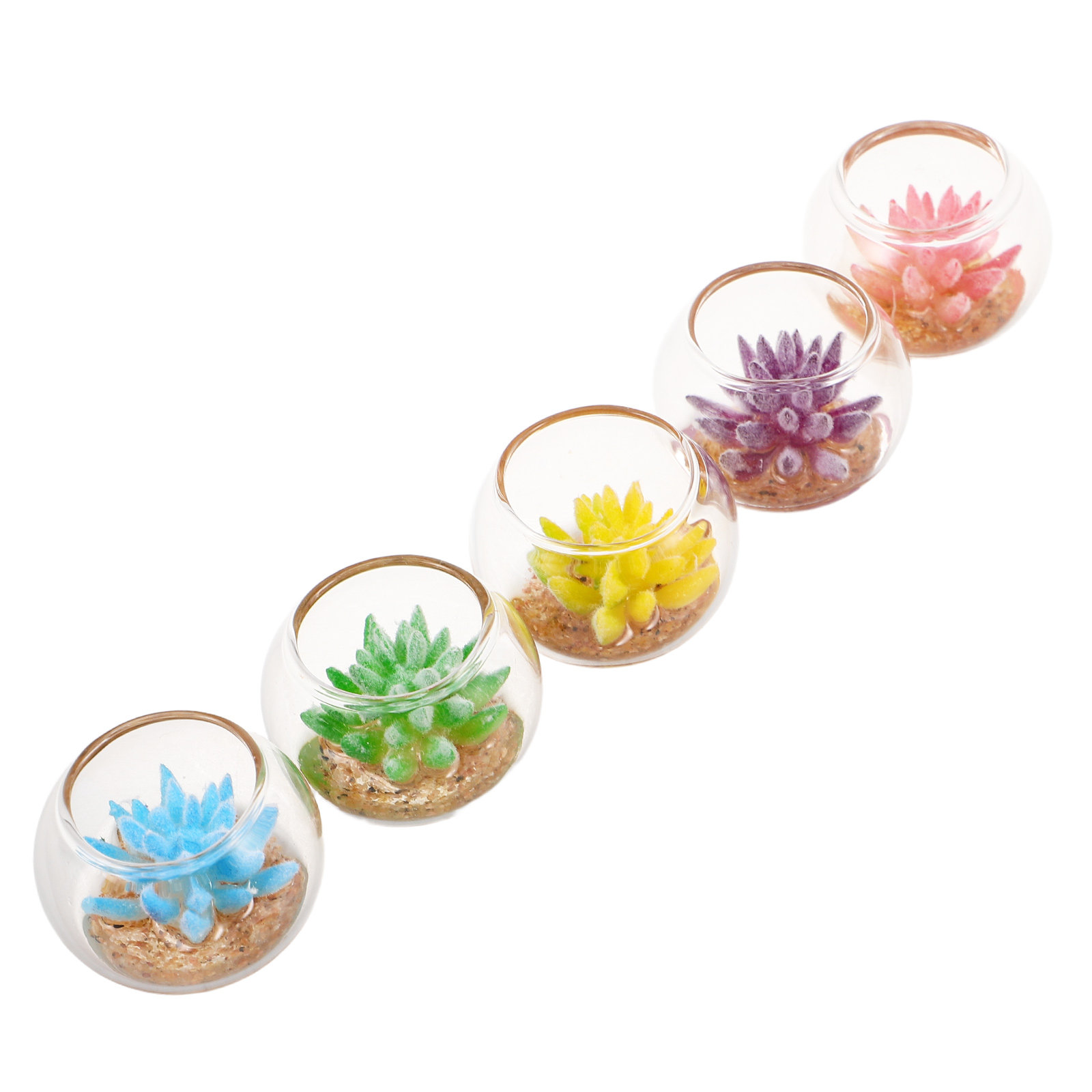 Miniature Glass Planters 5Pcs  - Plant Pot review and price