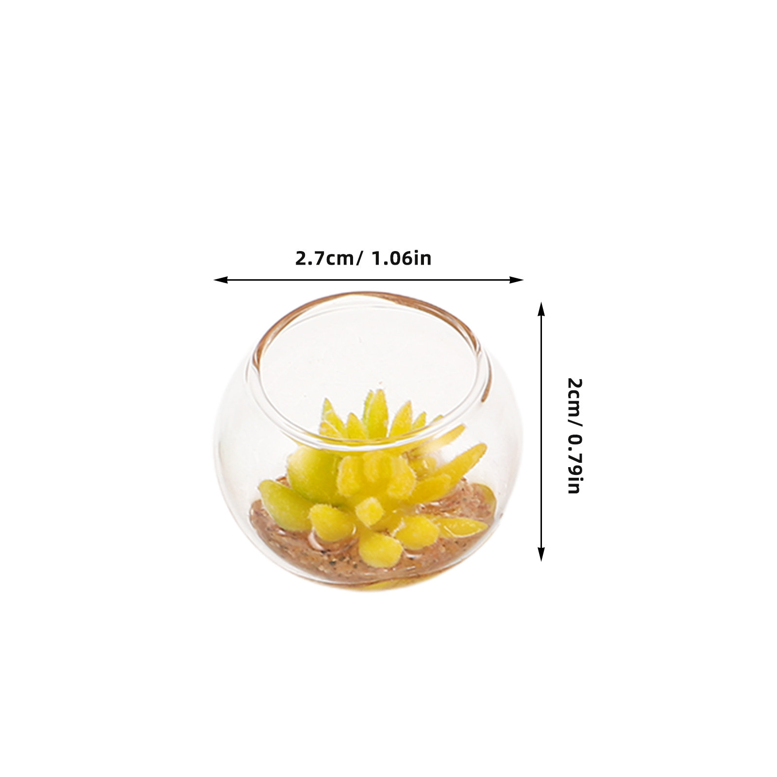 Miniature Glass Planters 5Pcs  - Plant Pot review and price