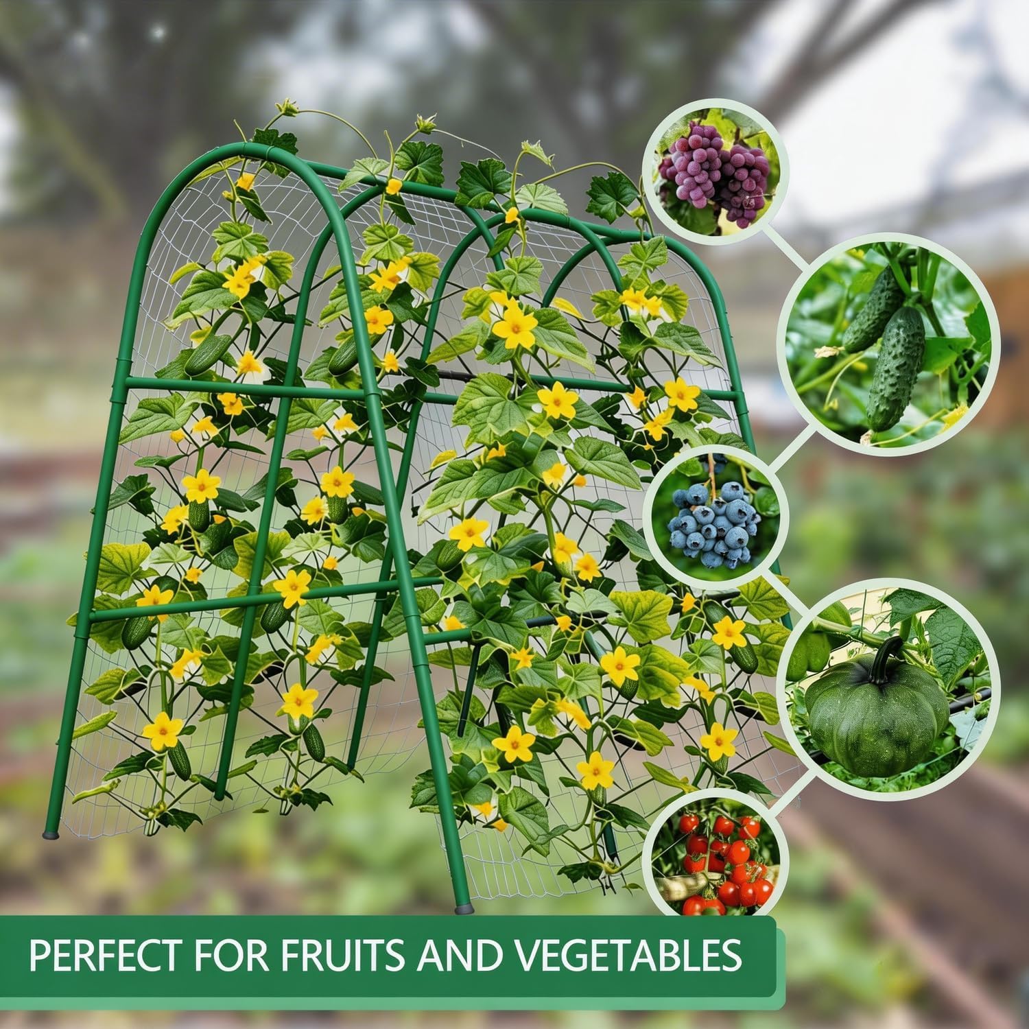 4x5.3FT Garden Arch Trellis fo - Raised Garden Bed review and price