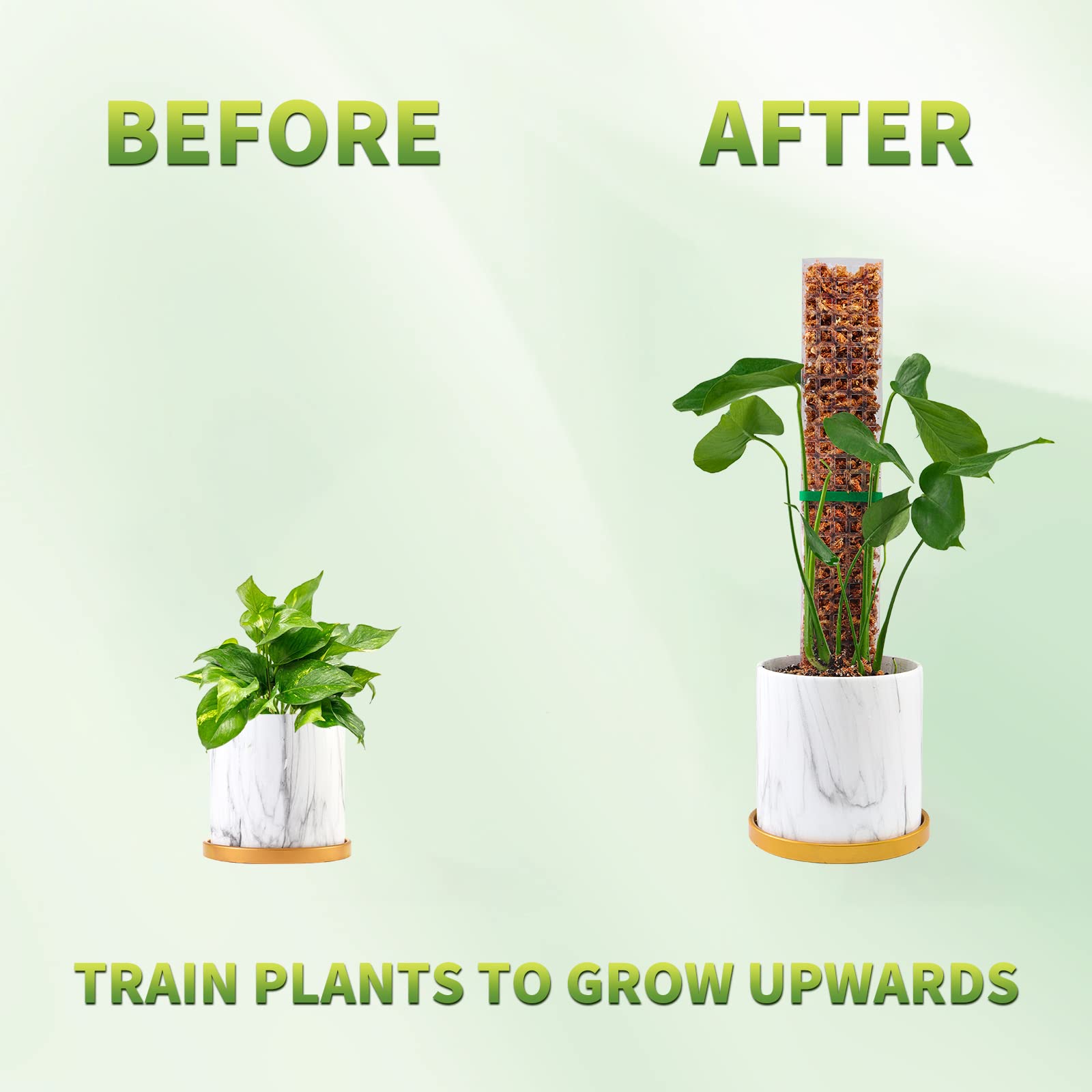 Moss Poles Plants Plant Suppor - Indoor Herb Garden review and price