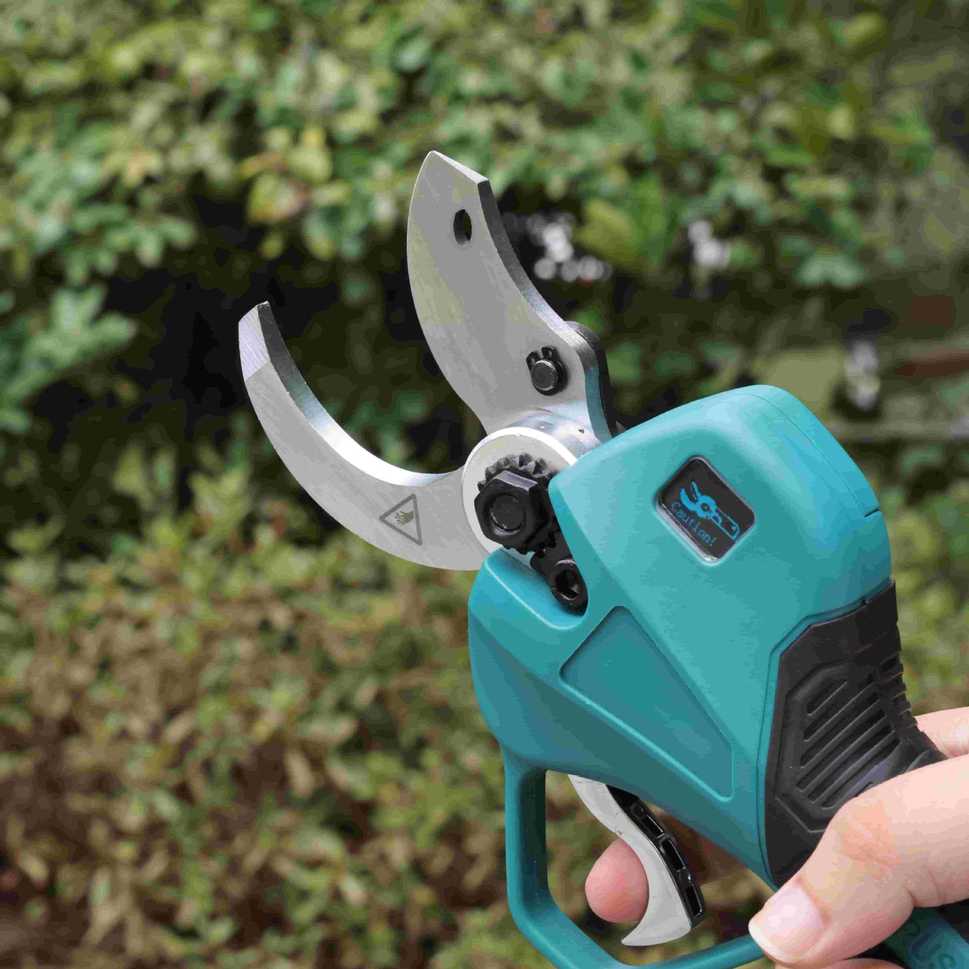 High pole garden pruning shear - Pruning Shears review and price