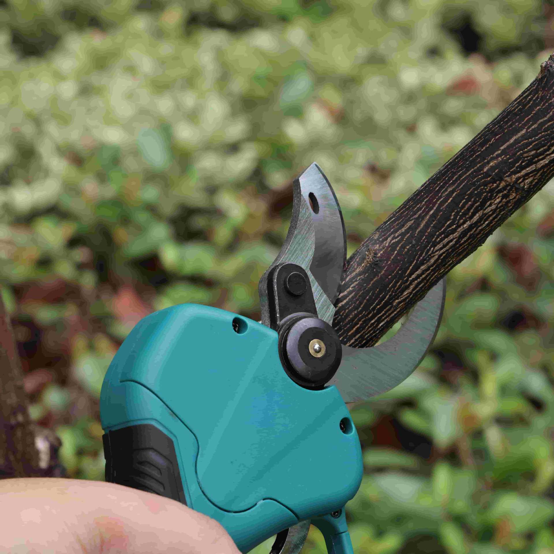 High pole garden pruning shear - Pruning Shears review and price