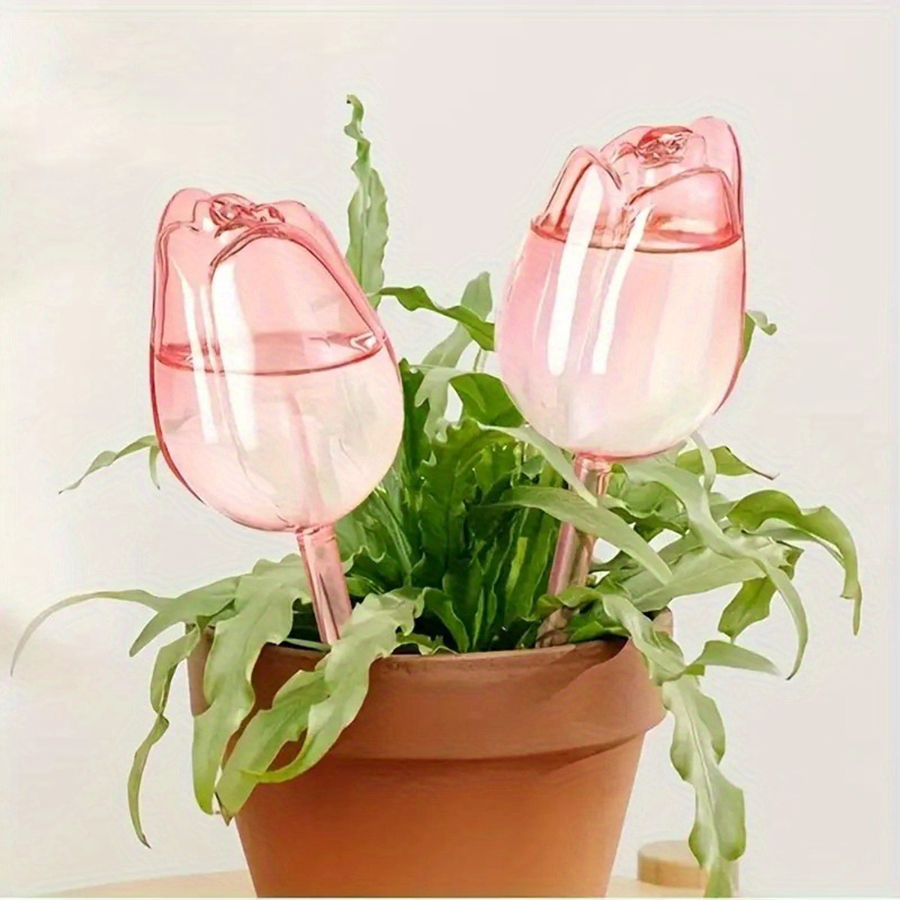 Transparent Thick PET Tulip Sh - Self Watering Planter review and price
