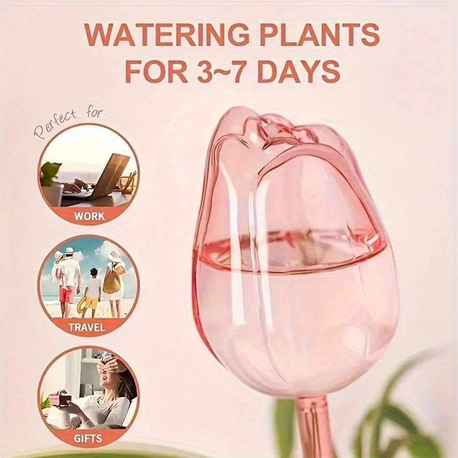 Transparent Thick PET Tulip Sh - Self Watering Planter review and price