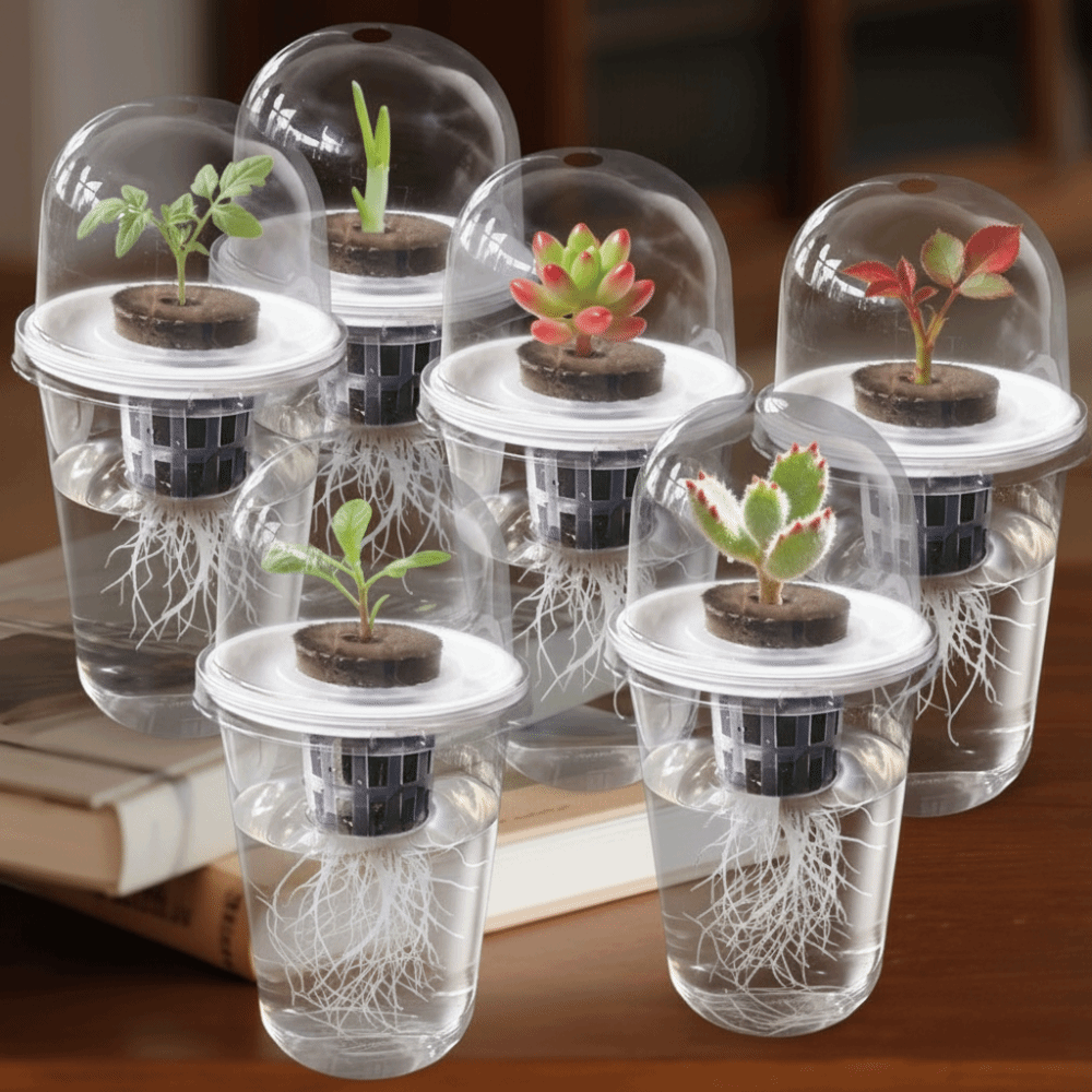 1-5pc Visible Clear Plants Ger - Seed Starter Tray review and price