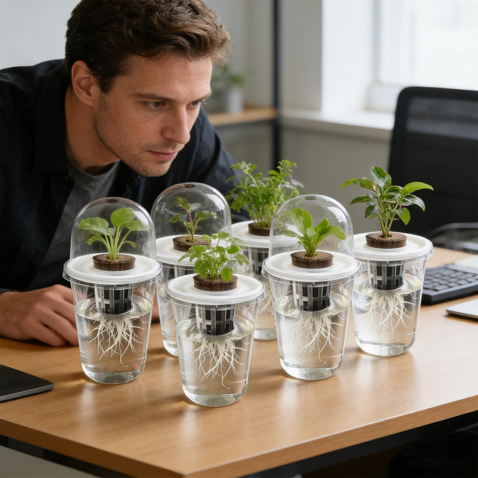 1-5pc Visible Clear Plants Ger - Seed Starter Tray review and price