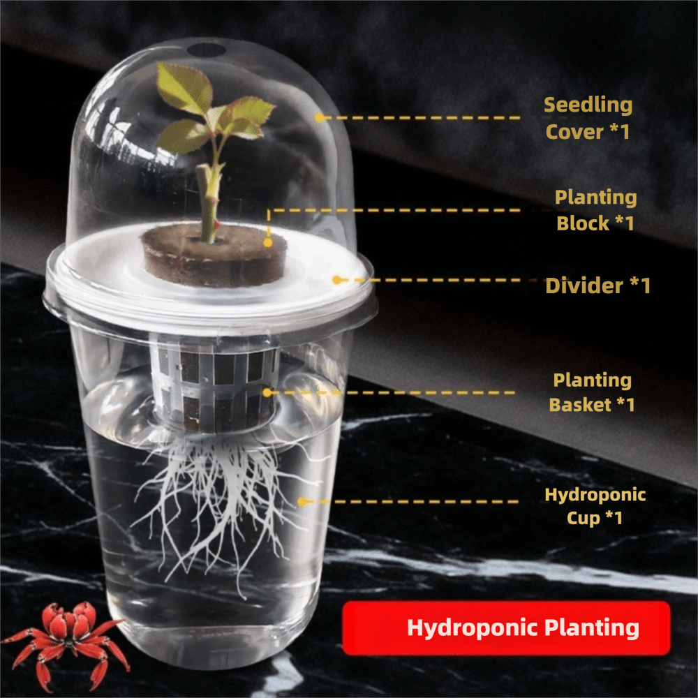 1-5pc Visible Clear Plants Ger - Seed Starter Tray review and price