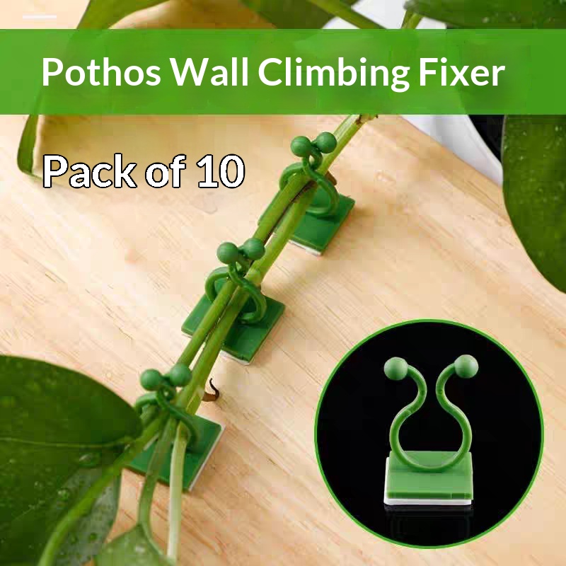 Self‑Adhesive Plant Climbing W - Indoor Herb Garden review and price