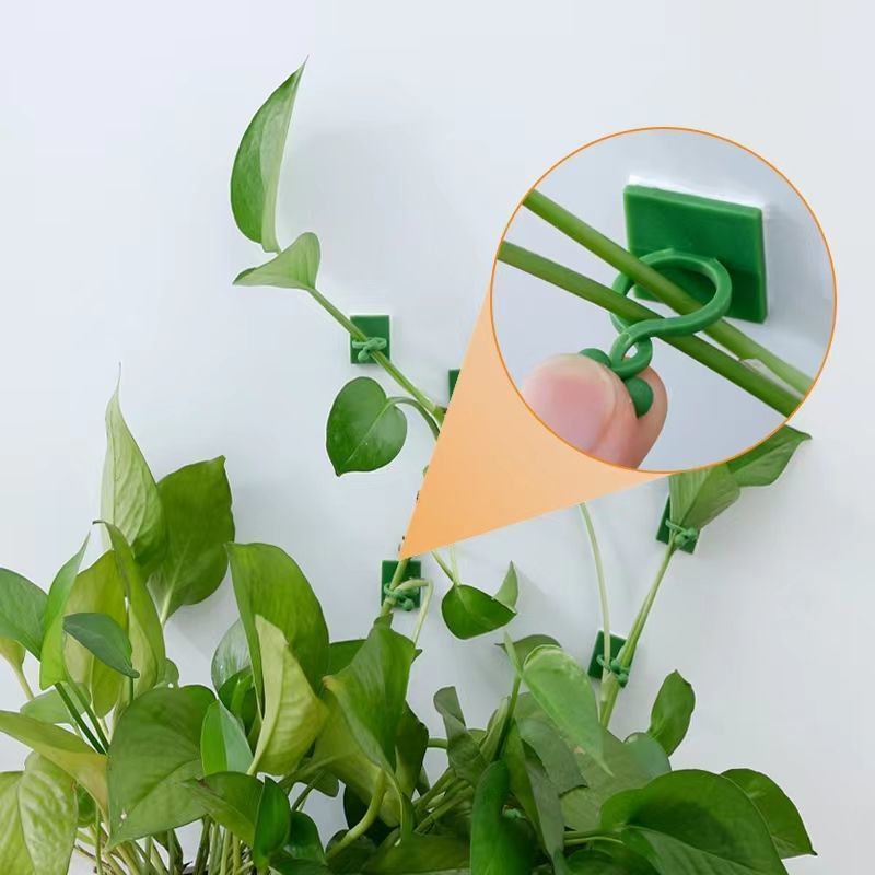 Self‑Adhesive Plant Climbing W - Indoor Herb Garden review and price
