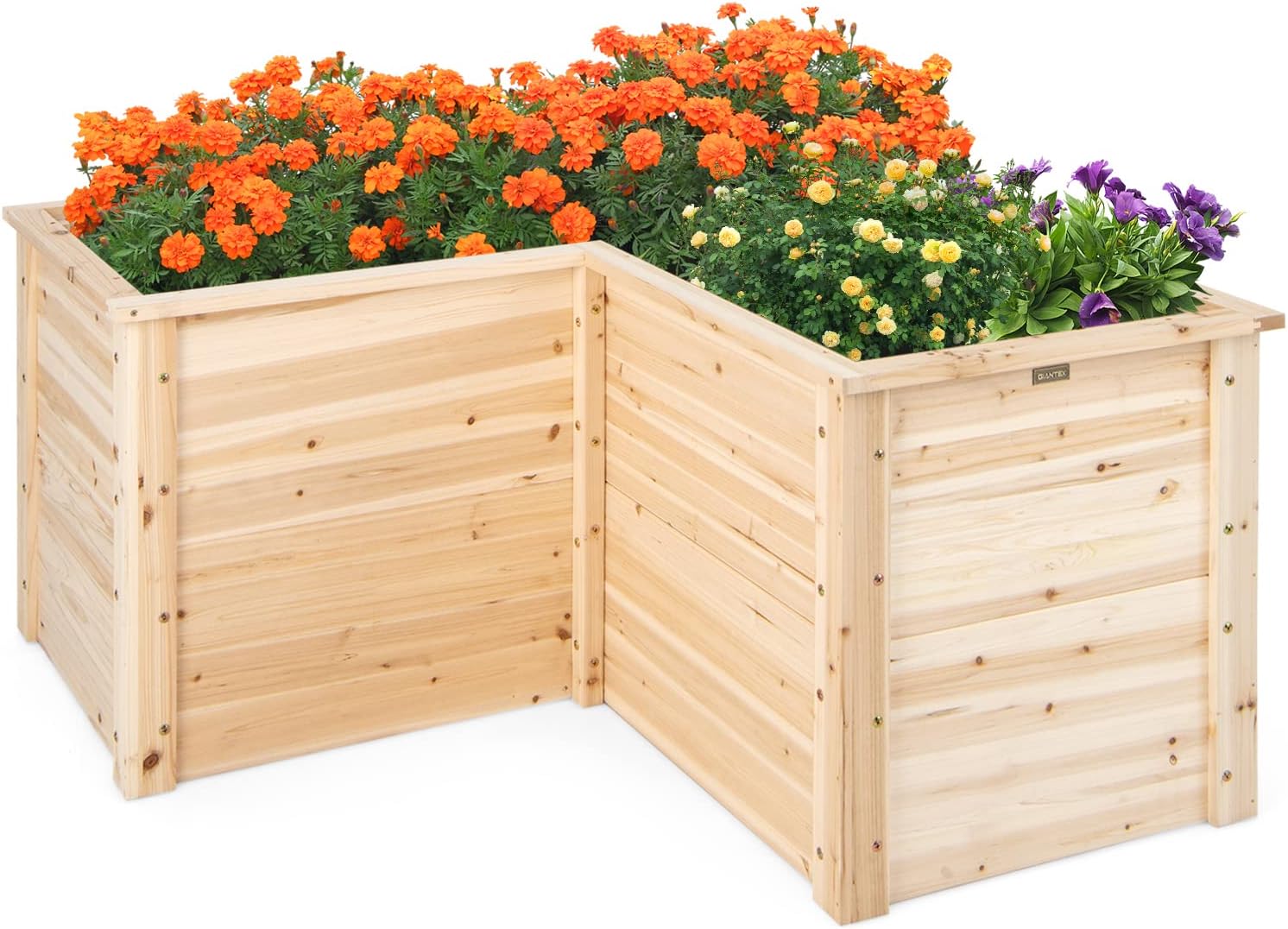Outdoor Solid Wood Raised Gard - Raised Garden Bed review and price