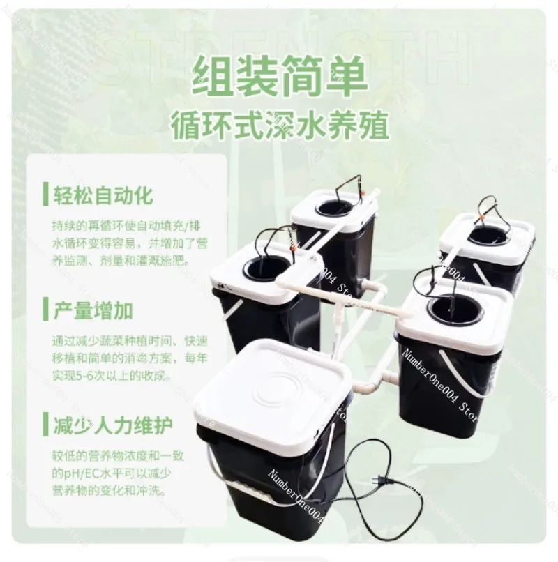 RDWC Home Balcony Hydroponic G - Hydroponic Kit review and price