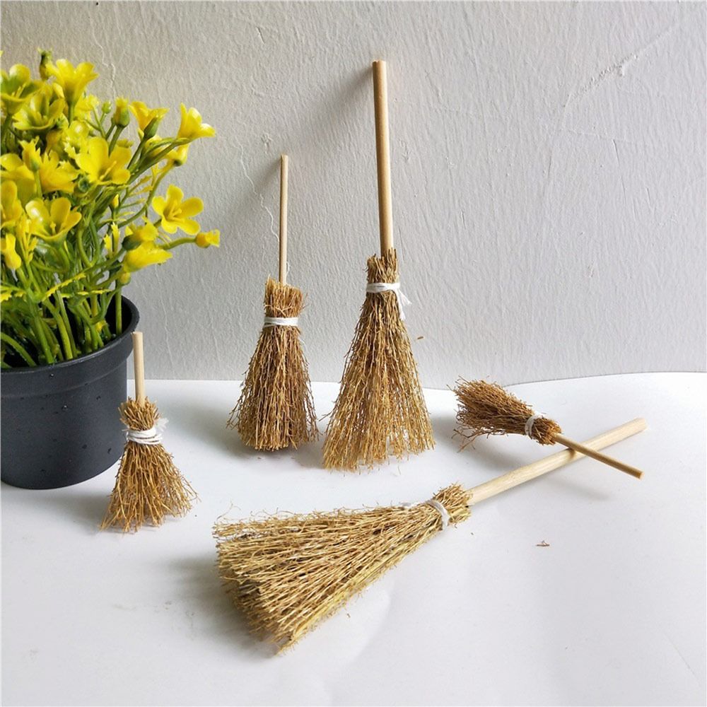 5pcs/Bag Craft Scene Mini Broo - Grow Bag review and price