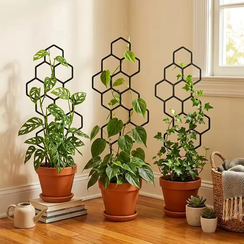 2/4pcs Honeycomb Design Plant  - Indoor Herb Garden review and price
